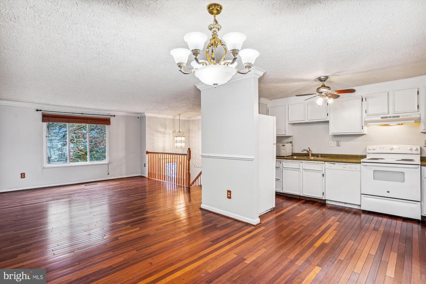 19013 Perrone Drive photo 8