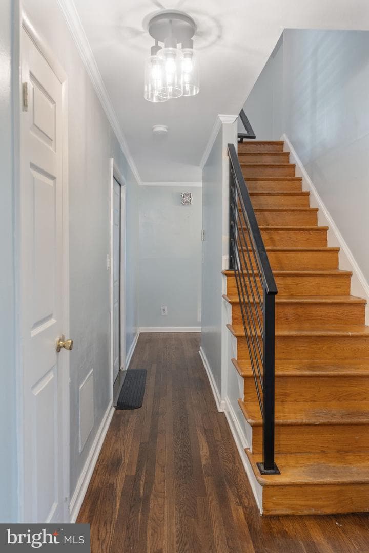 1009 Nora Drive photo 24