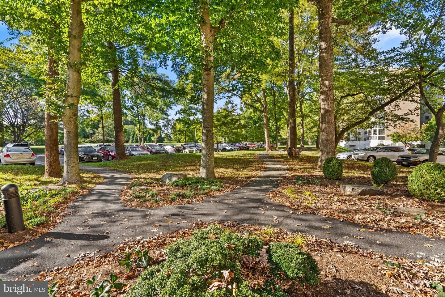 15107 Interlachen Drive #818 photo 32