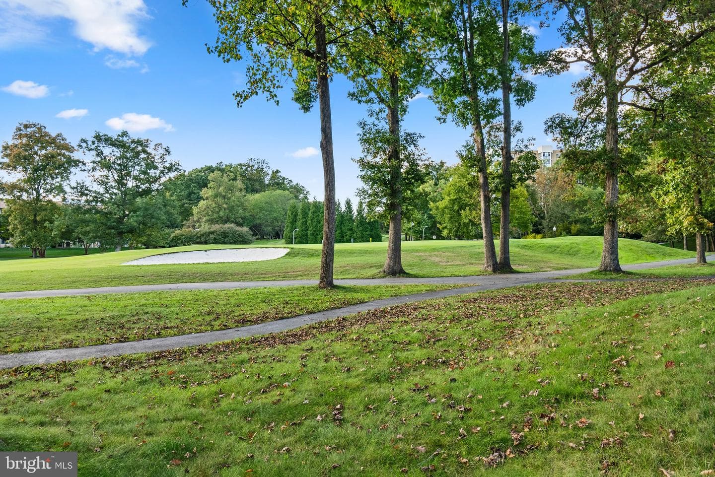 15107 Interlachen Drive #818 photo 39
