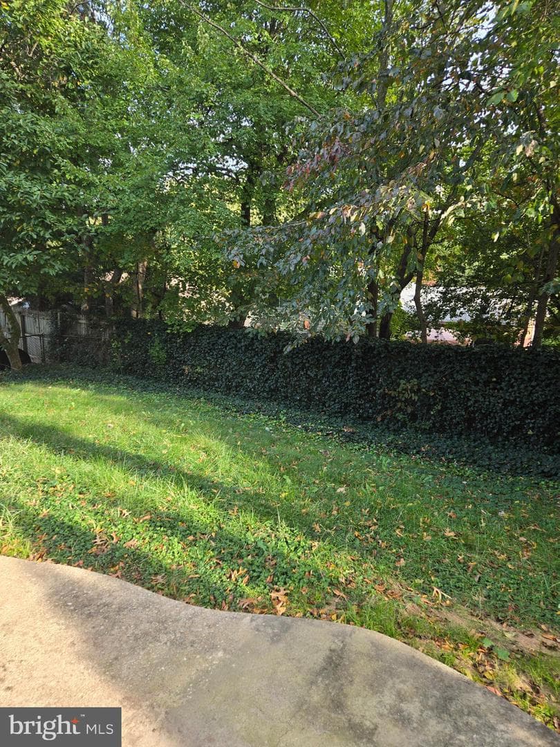 402 Irwin Street photo 3