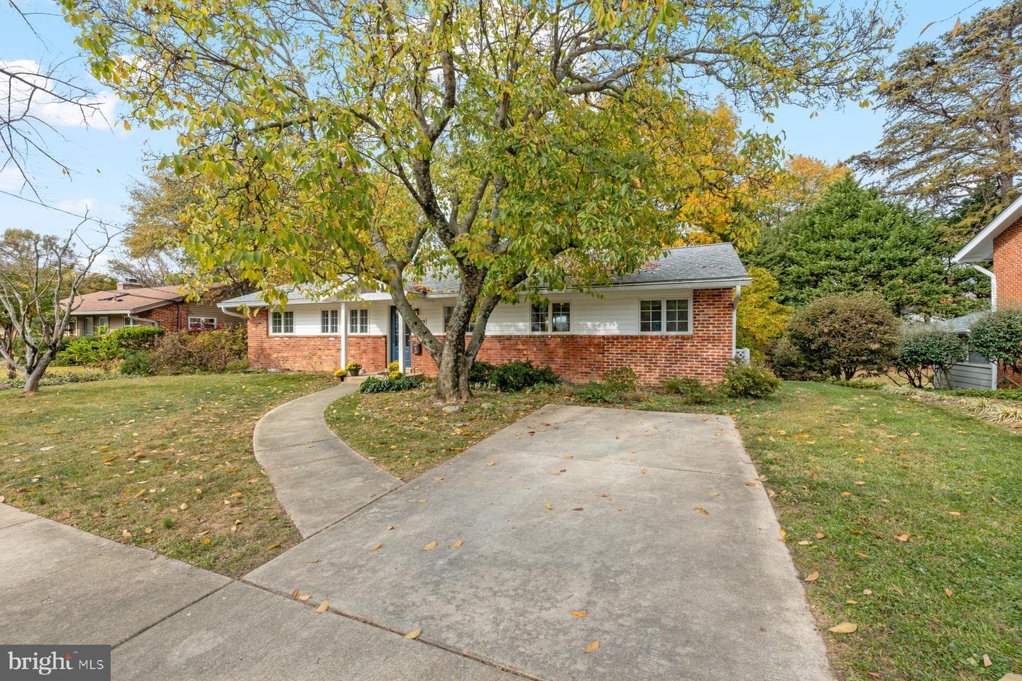 5009 White Flint Drive photo 2
