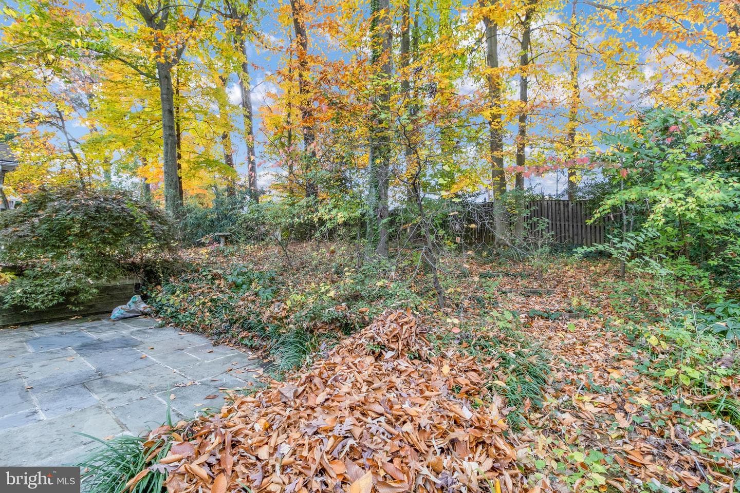 9826 Inglemere Drive photo 61