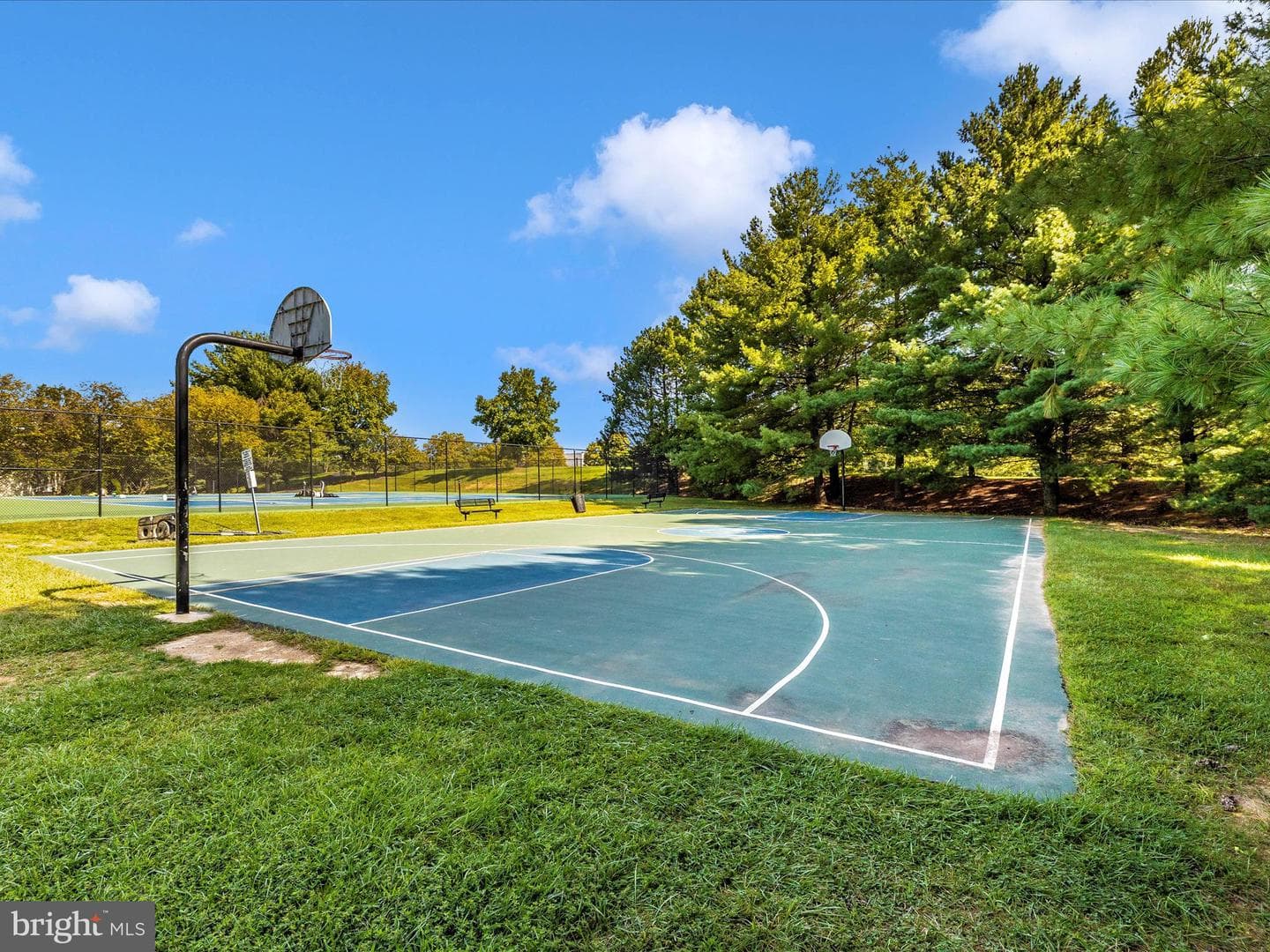 4 Village Green Court photo 62