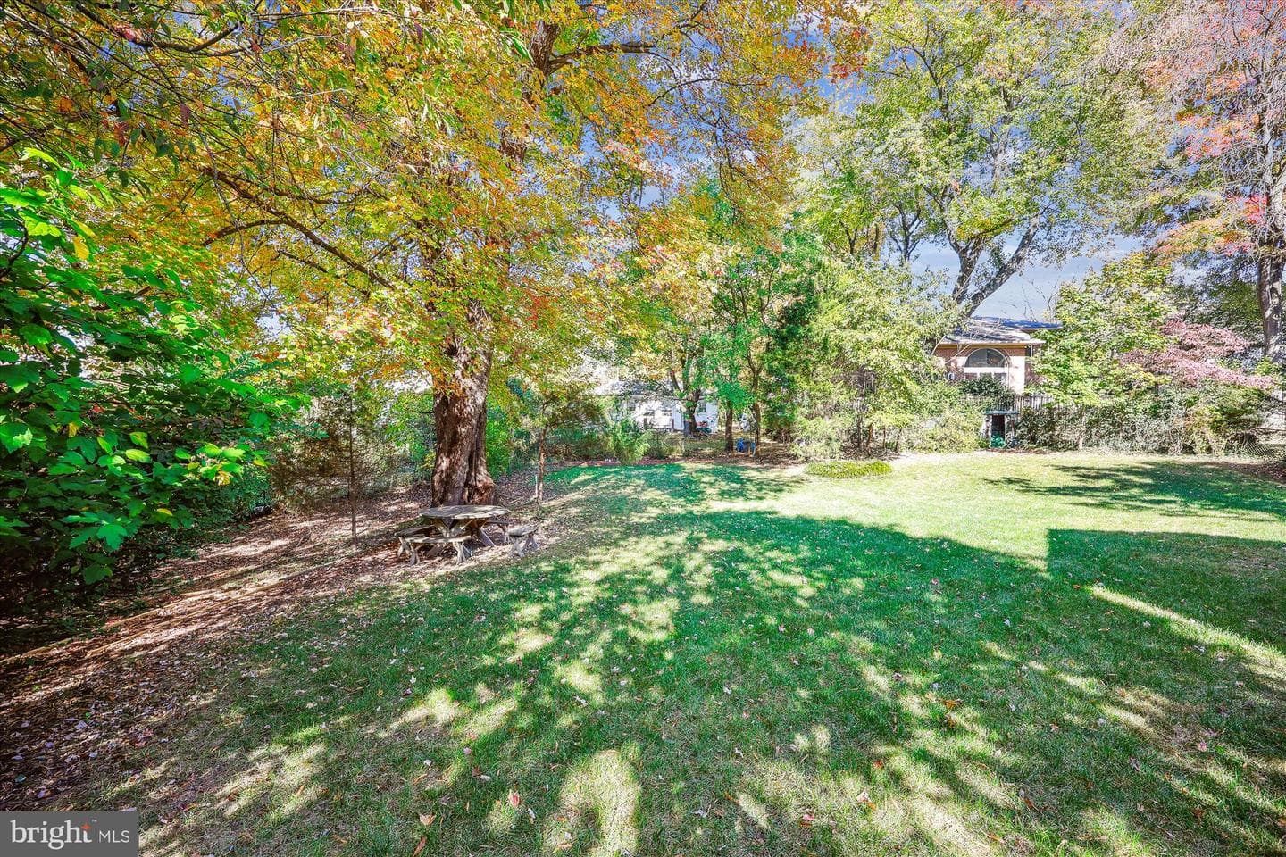10111 Thornwood Road photo 9