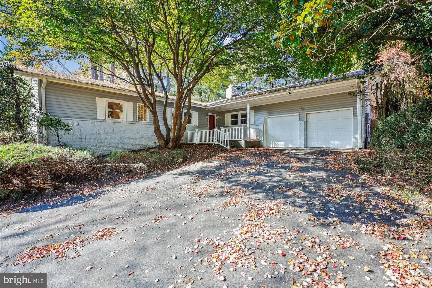 9005 Marseille Drive photo 2