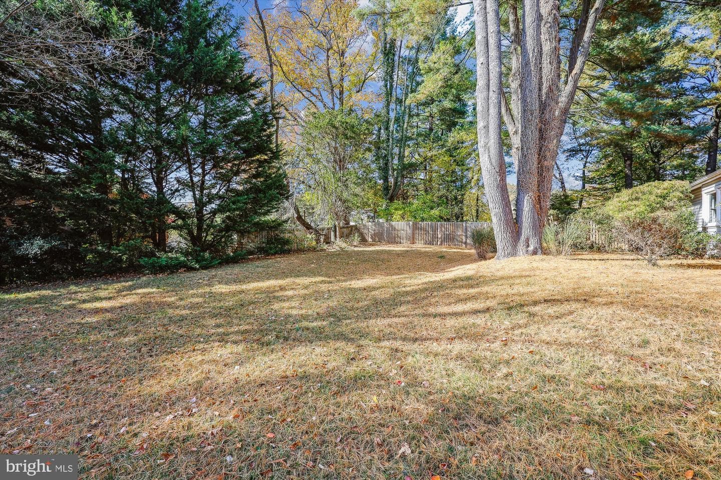 9005 Marseille Drive photo 4