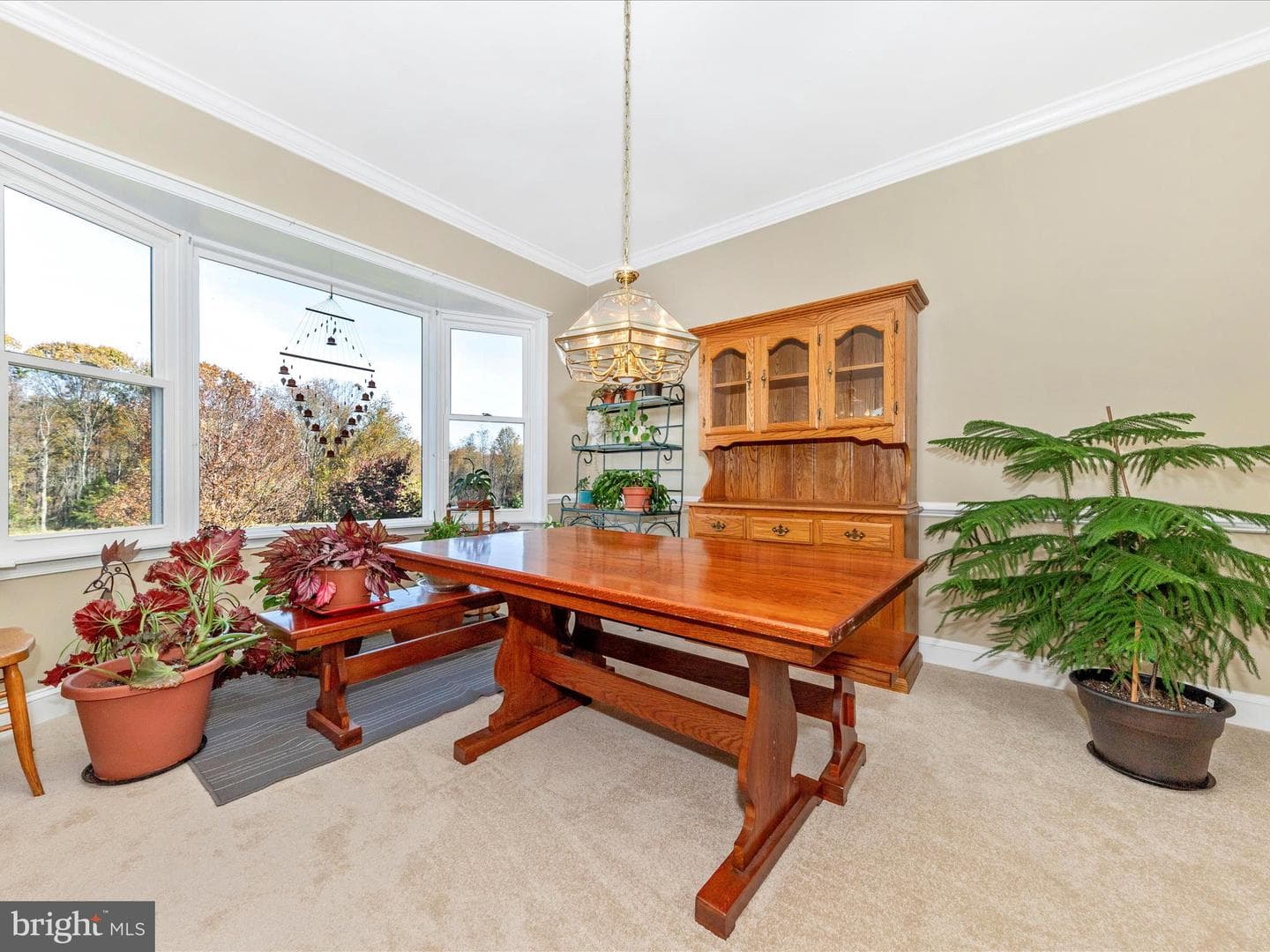 25205 Woodfield School Road photo 18