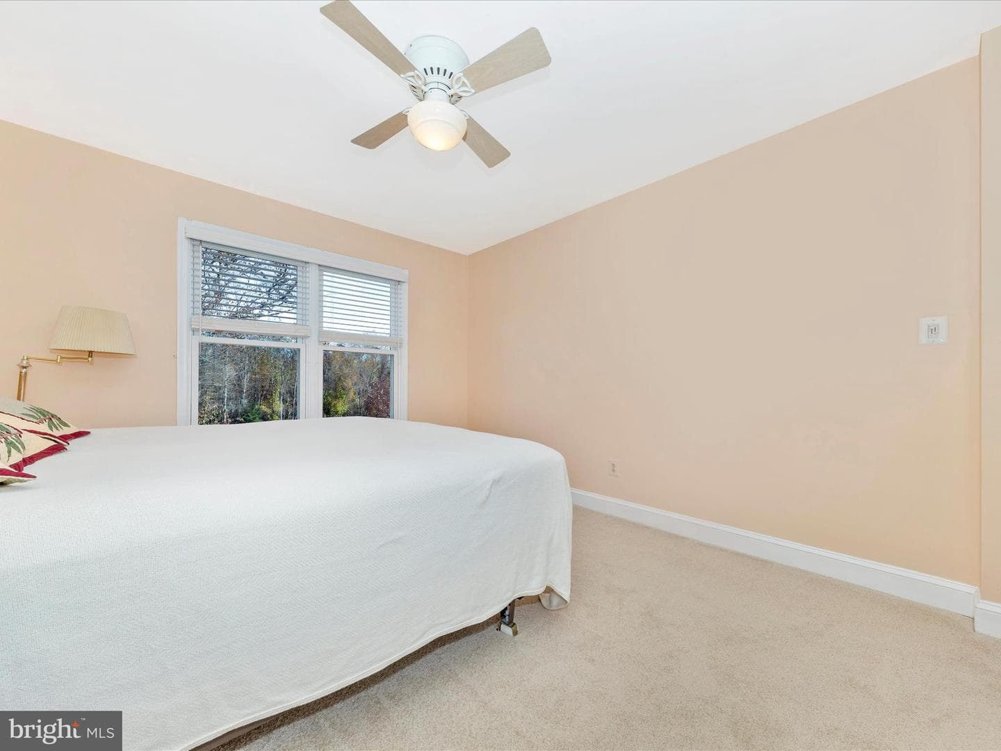 25205 Woodfield School Road photo 33