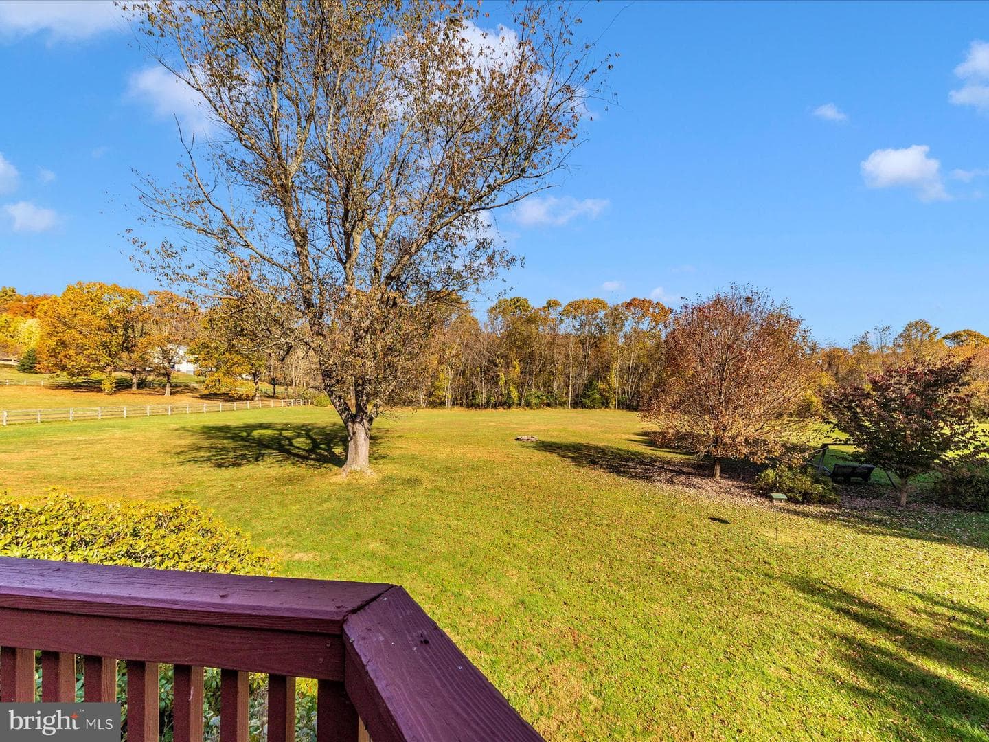 25205 Woodfield School Road photo 50