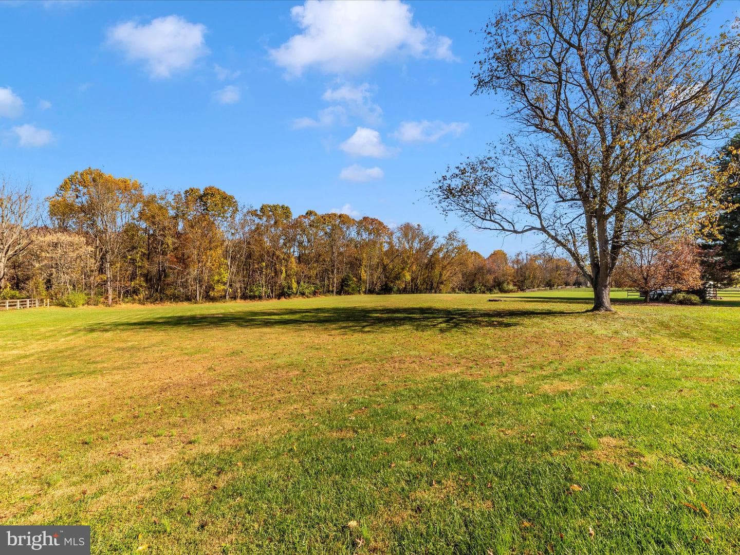 25205 Woodfield School Road photo 51