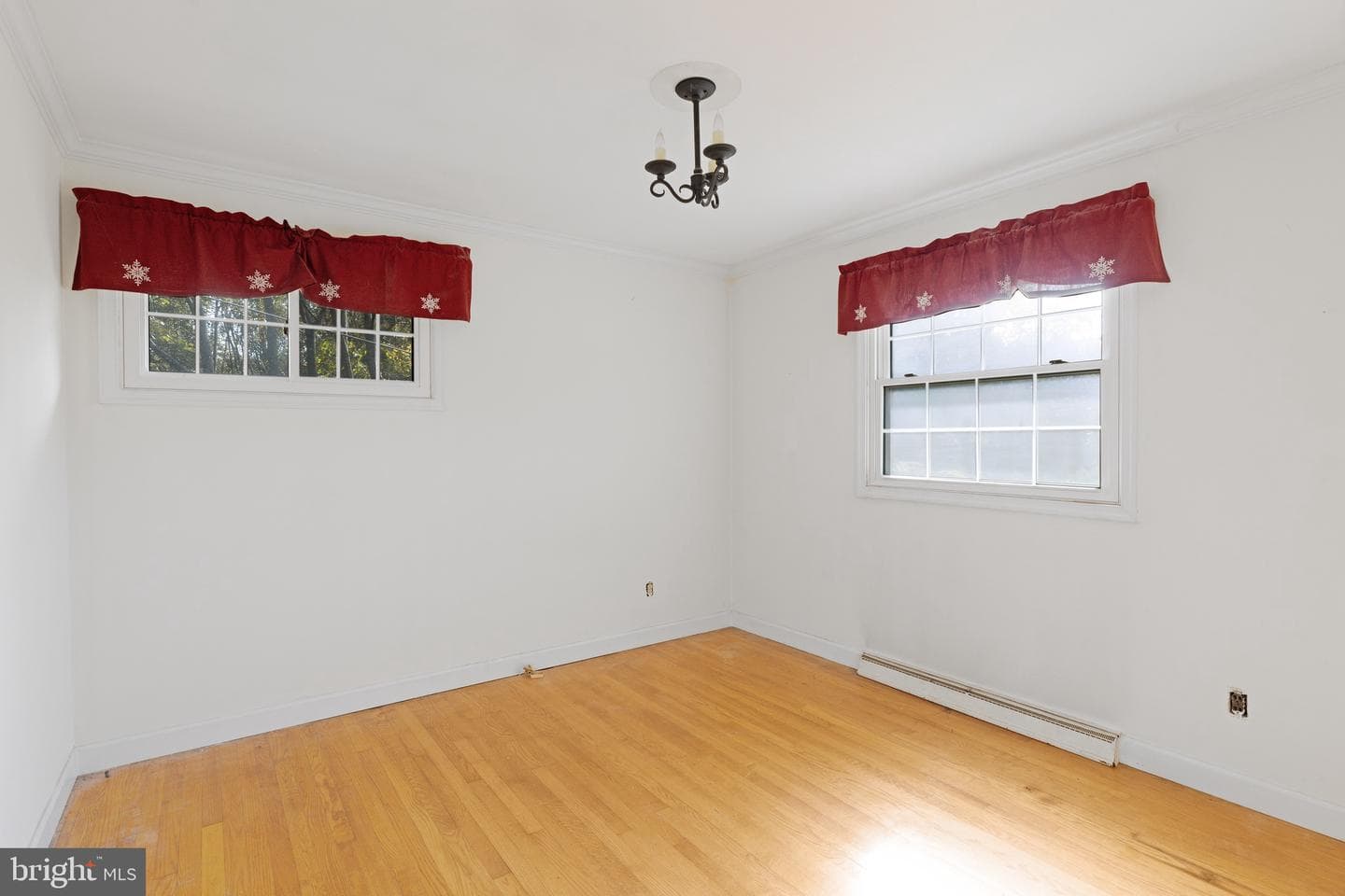 24411 Woodfield Road photo 13