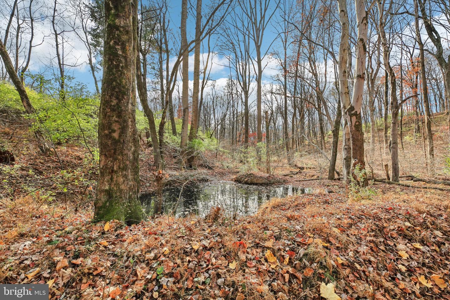 1170 Ridge Rd photo 12