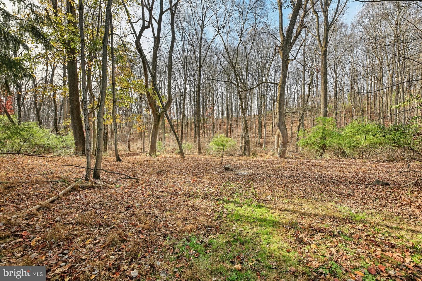1170 Ridge Rd photo 13