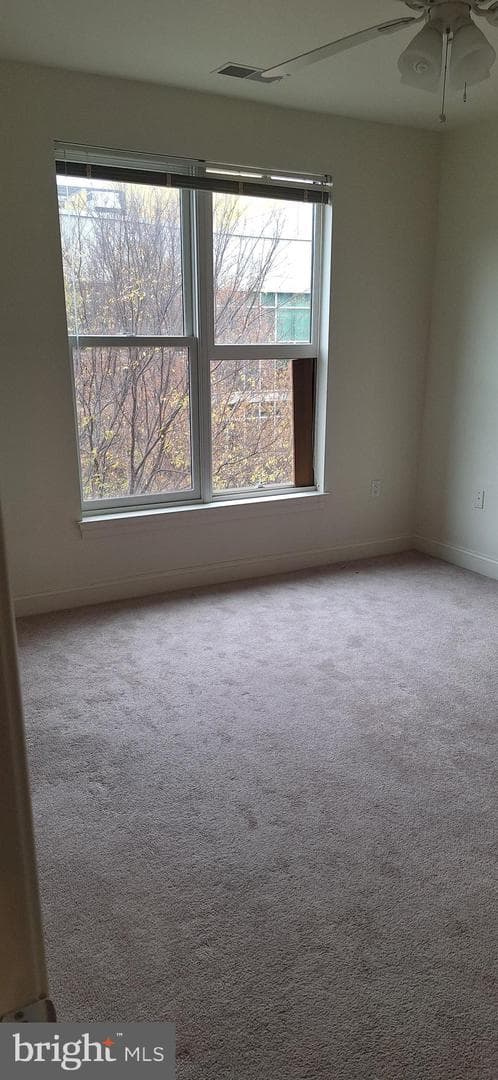 38 Maryland Avenue #435 photo 26