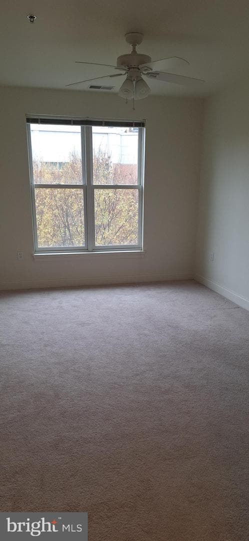 38 Maryland Avenue #435 photo 30