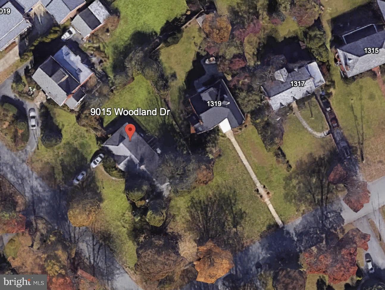 9015 Woodland Drive photo 2