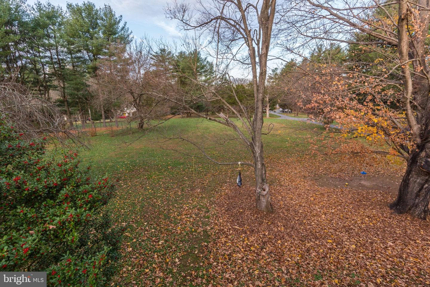 20811 Goshen Road photo 83