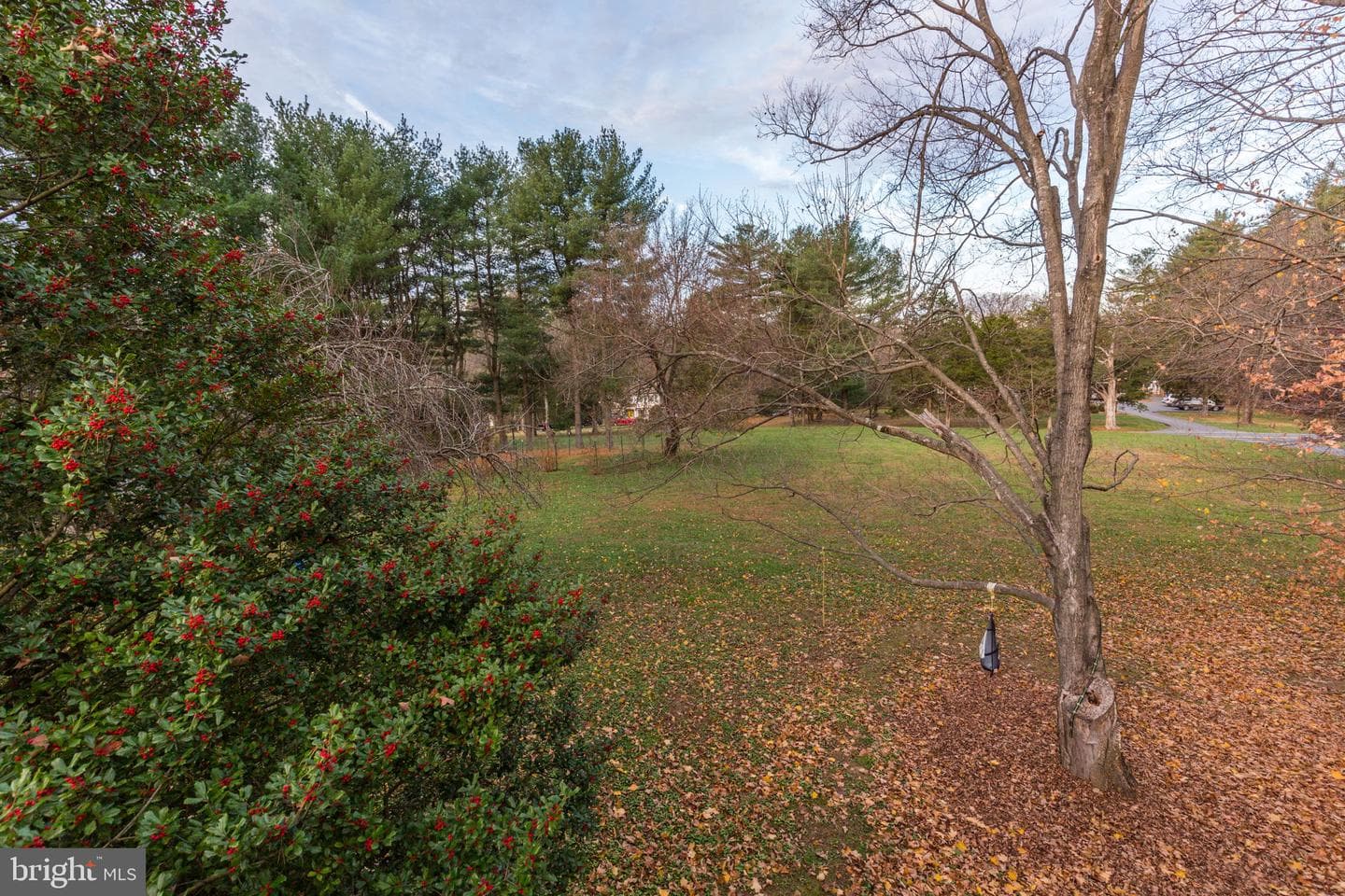 20811 Goshen Road photo 85