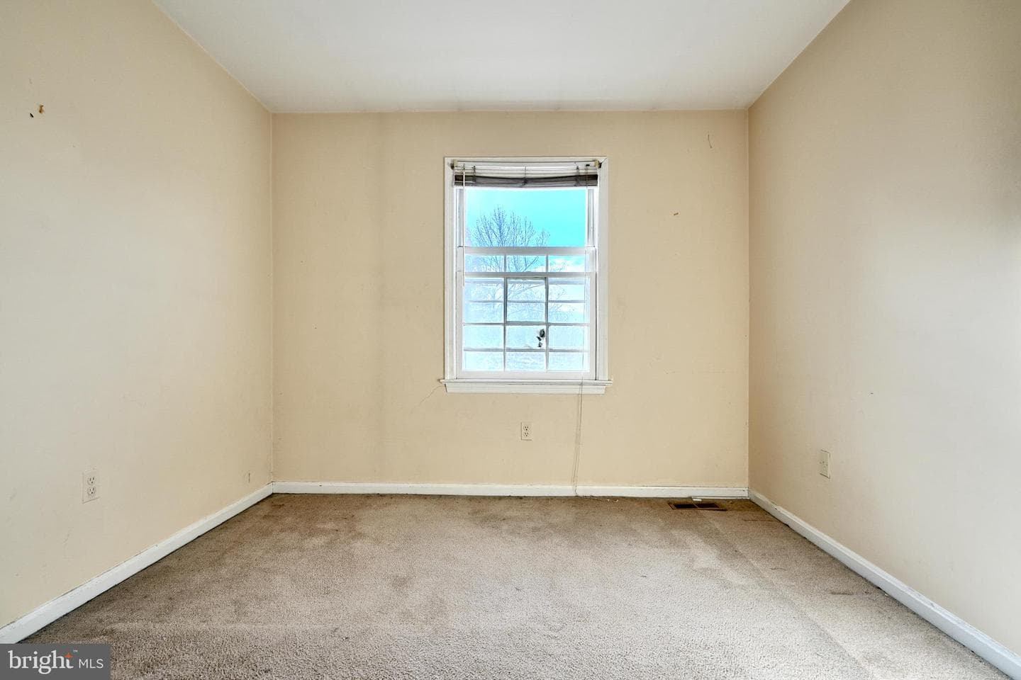6779 Surreywood Lane photo 19