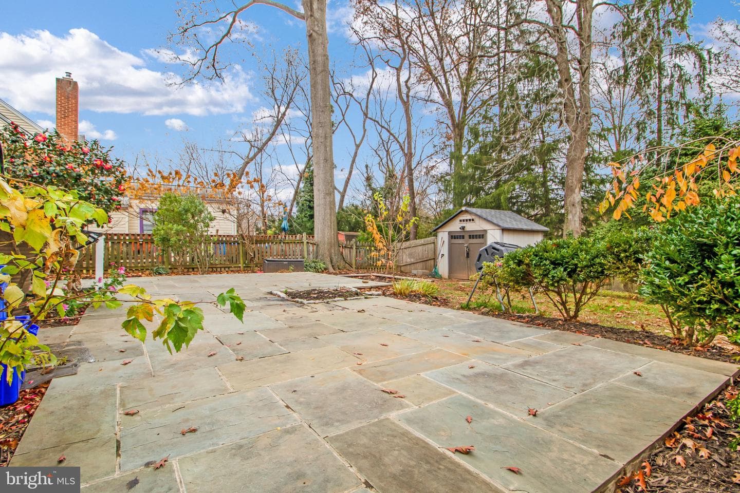 1109 Carson Street photo 38