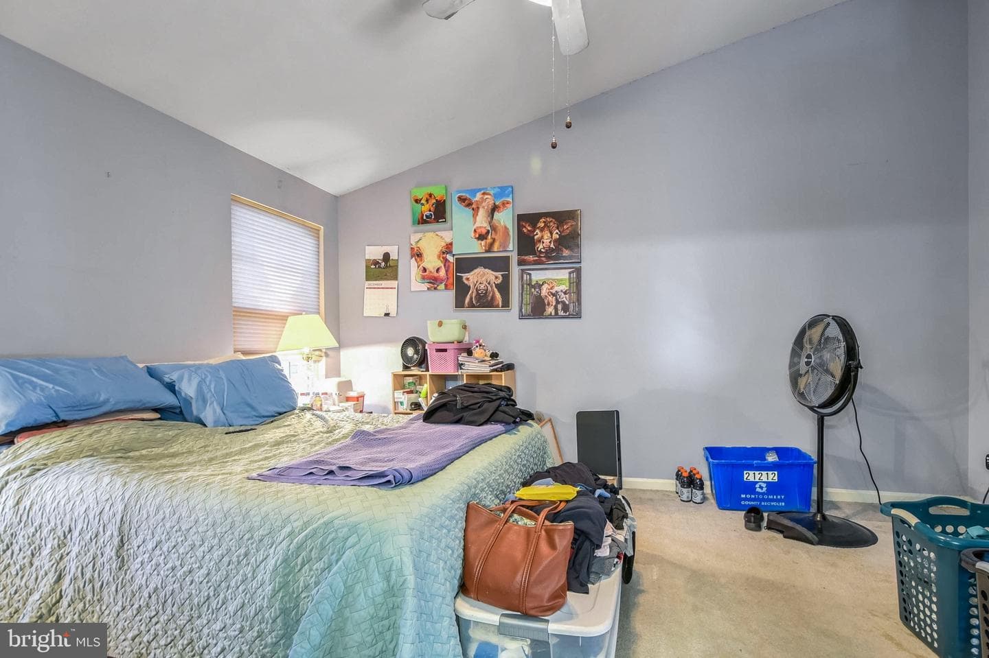 21212 Dorsey Spring Place #6 photo 15
