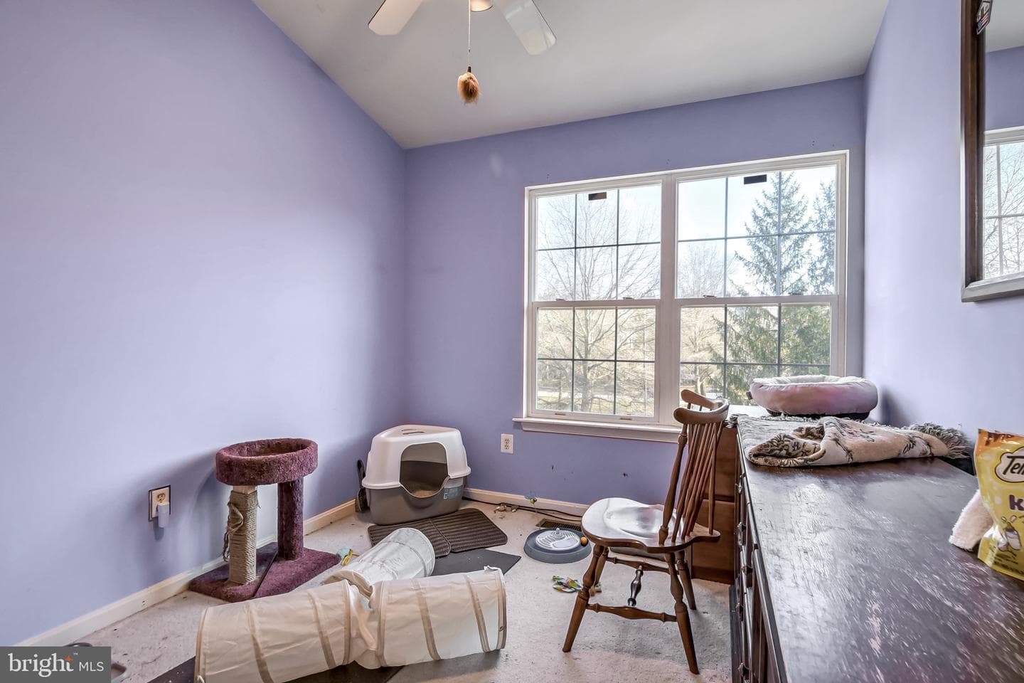 21212 Dorsey Spring Place #6 photo 18