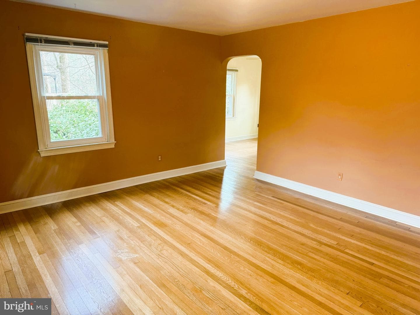 3 Knox Place photo 2