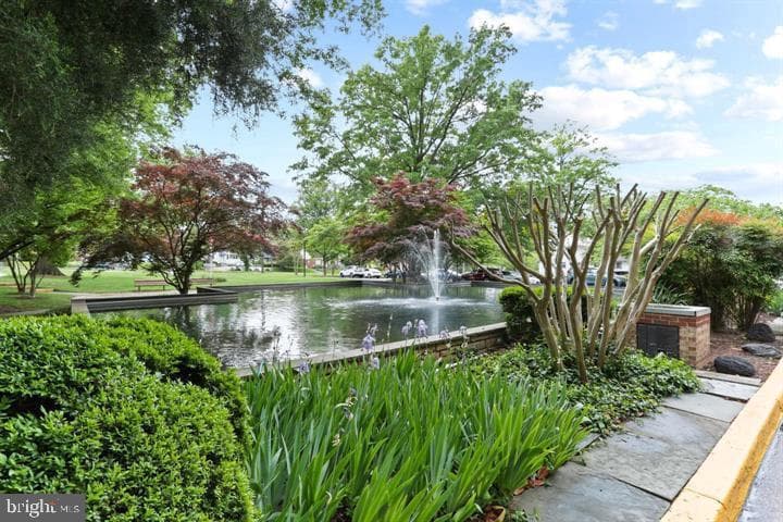 3333 University Boulevard W #211 photo 2