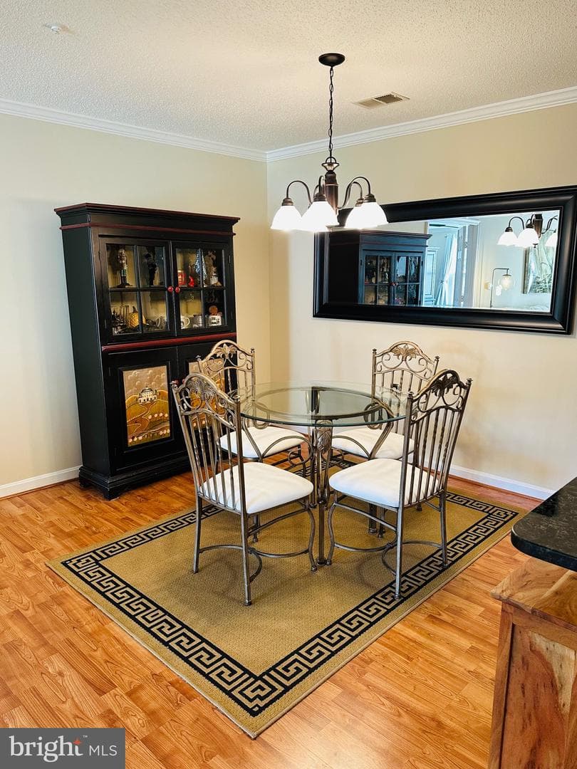 10010 Vanderbilt Circle #4-9 photo 11