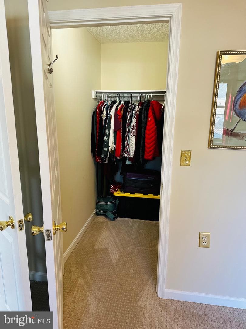 10010 Vanderbilt Circle #4-9 photo 18