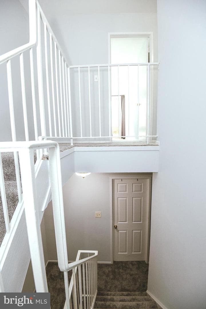 10346 Ridgeline Drive photo 28