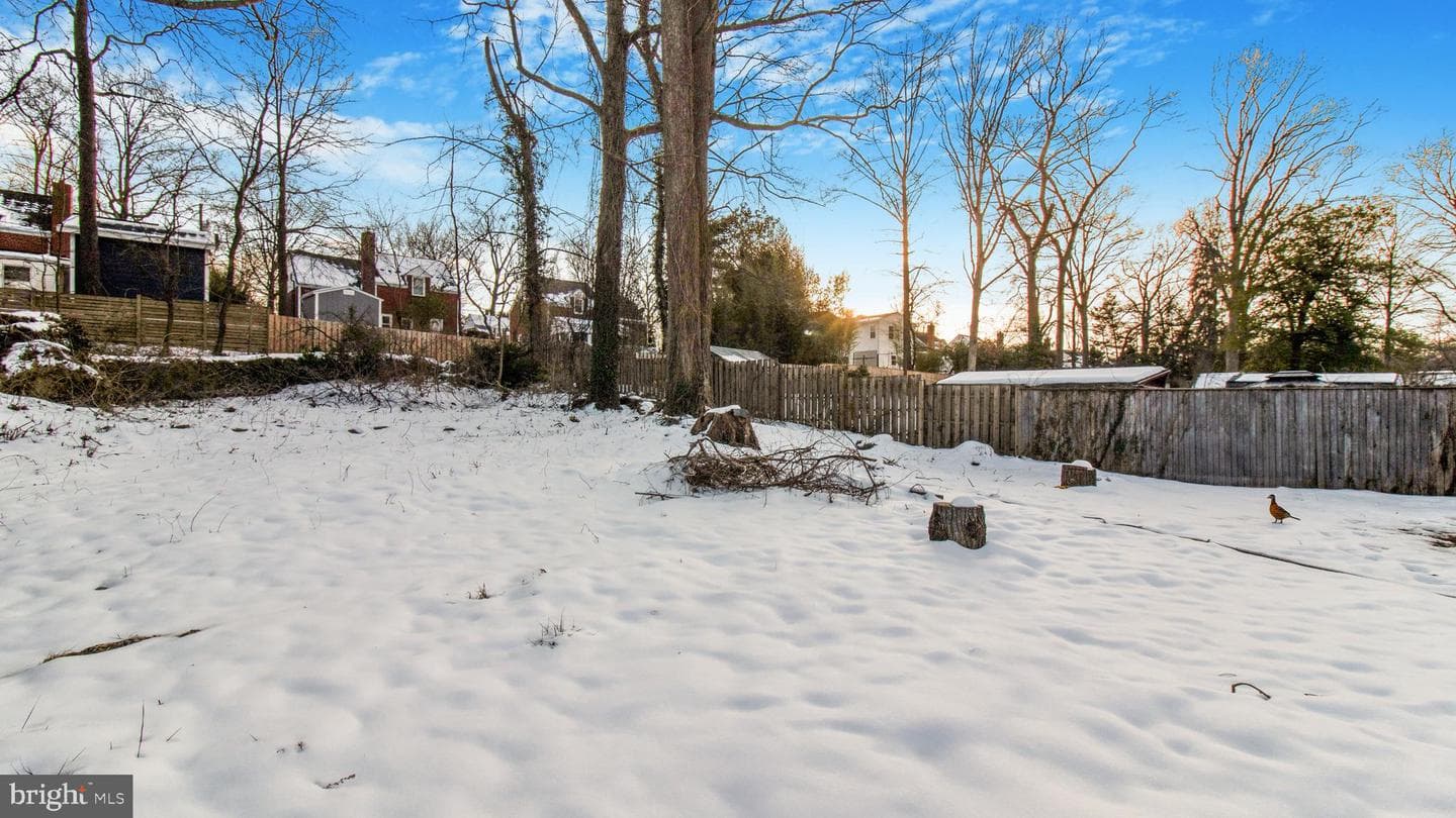 1106 Dryden Street photo 29