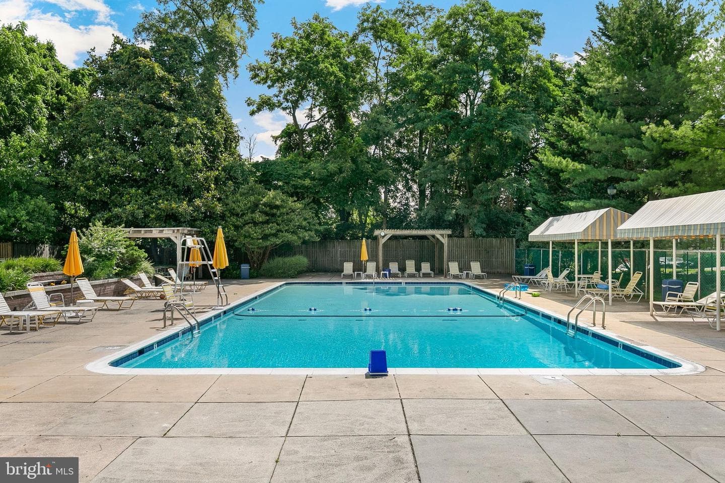 11801 Rockville Pike #905 photo 38