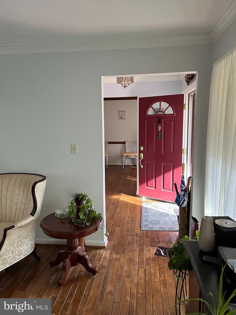 204 Colesville Manor Drive photo 6