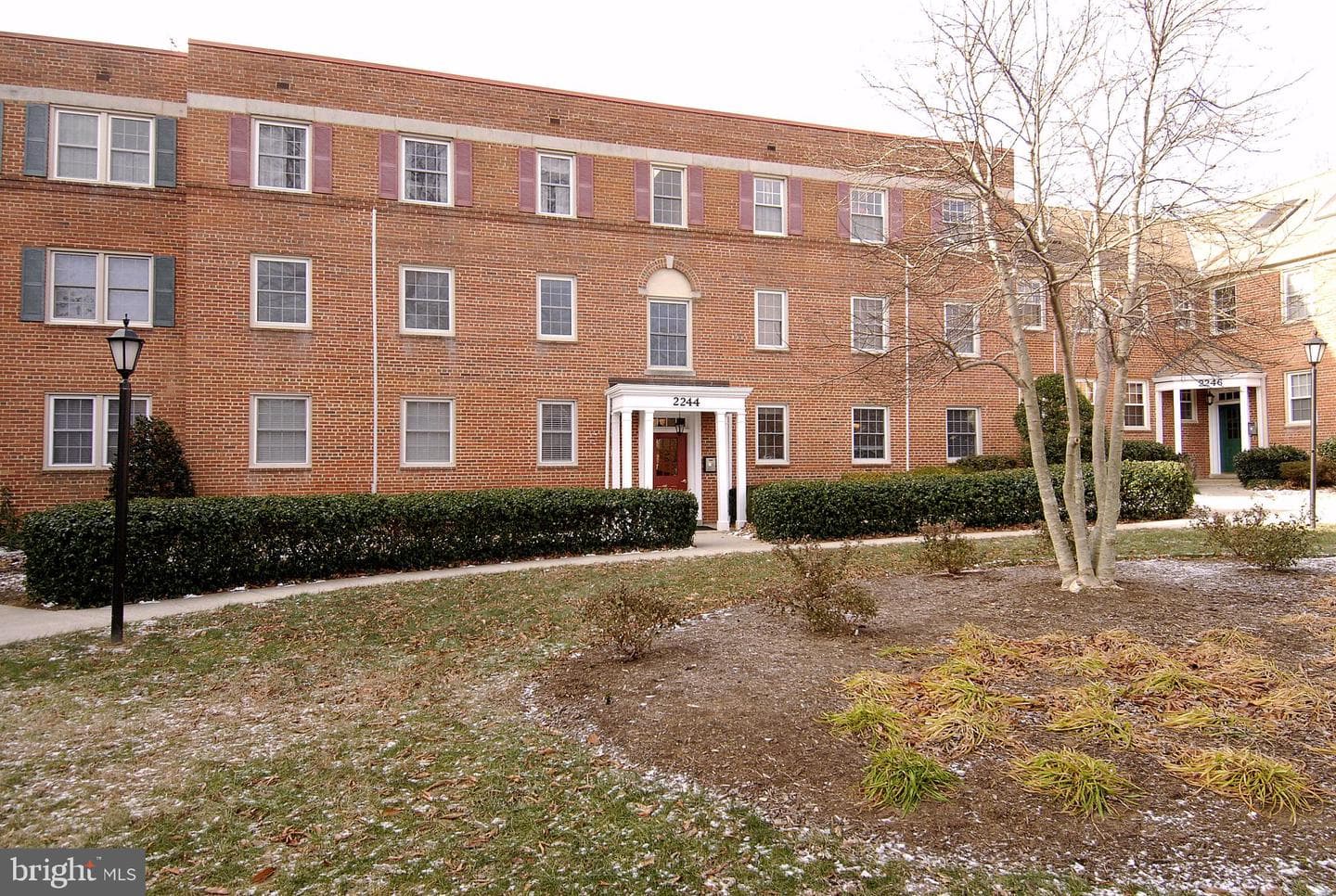 2244 Washington Avenue #102 photo 19