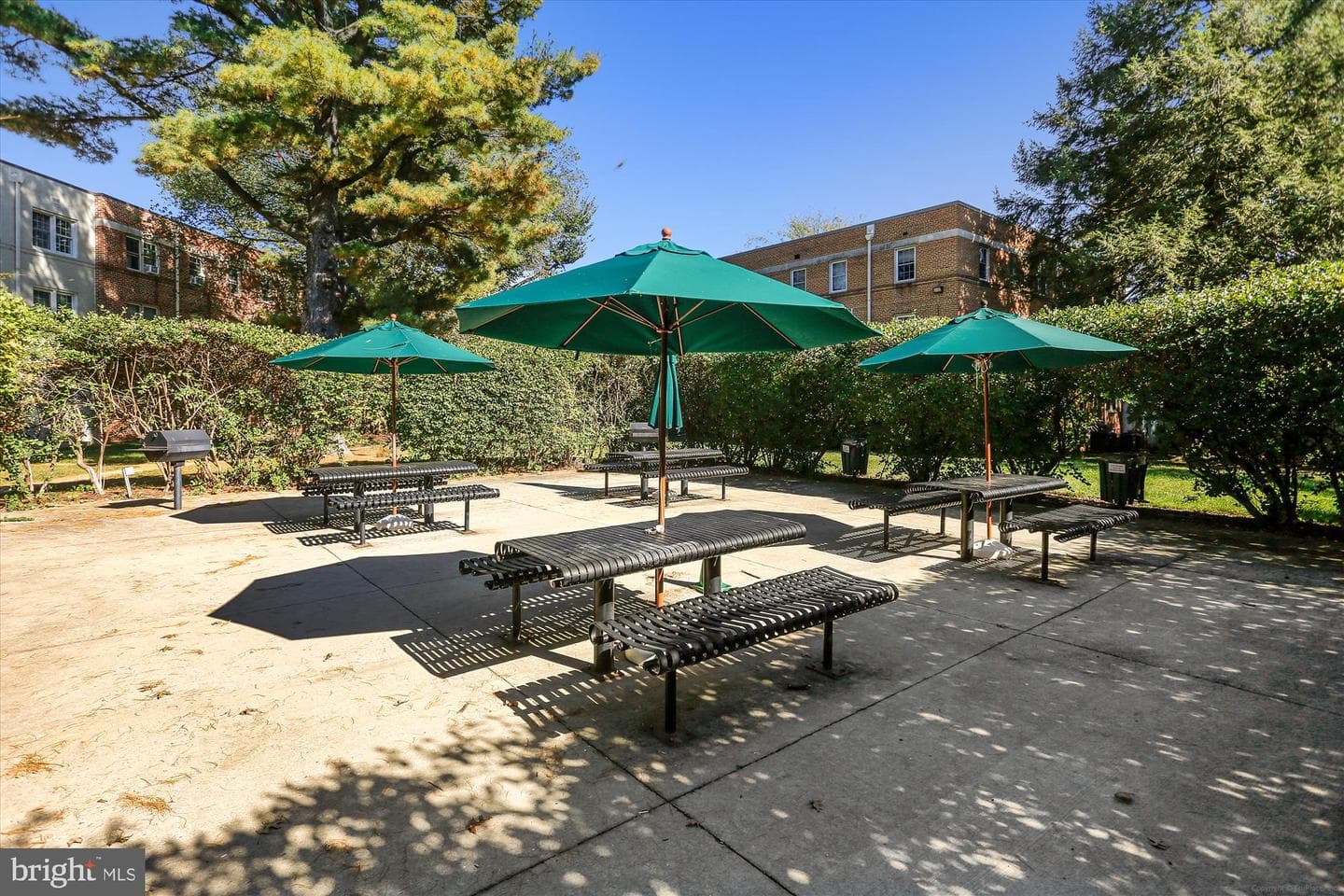2244 Washington Avenue #102 photo 29