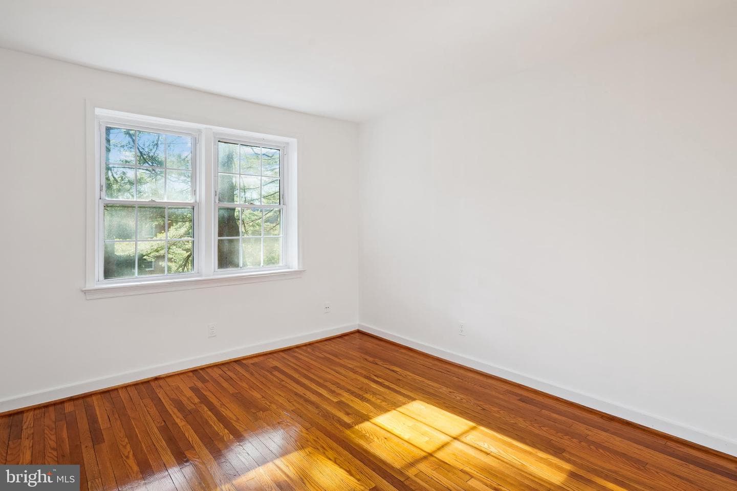 2244 Washington Avenue #102 photo 8