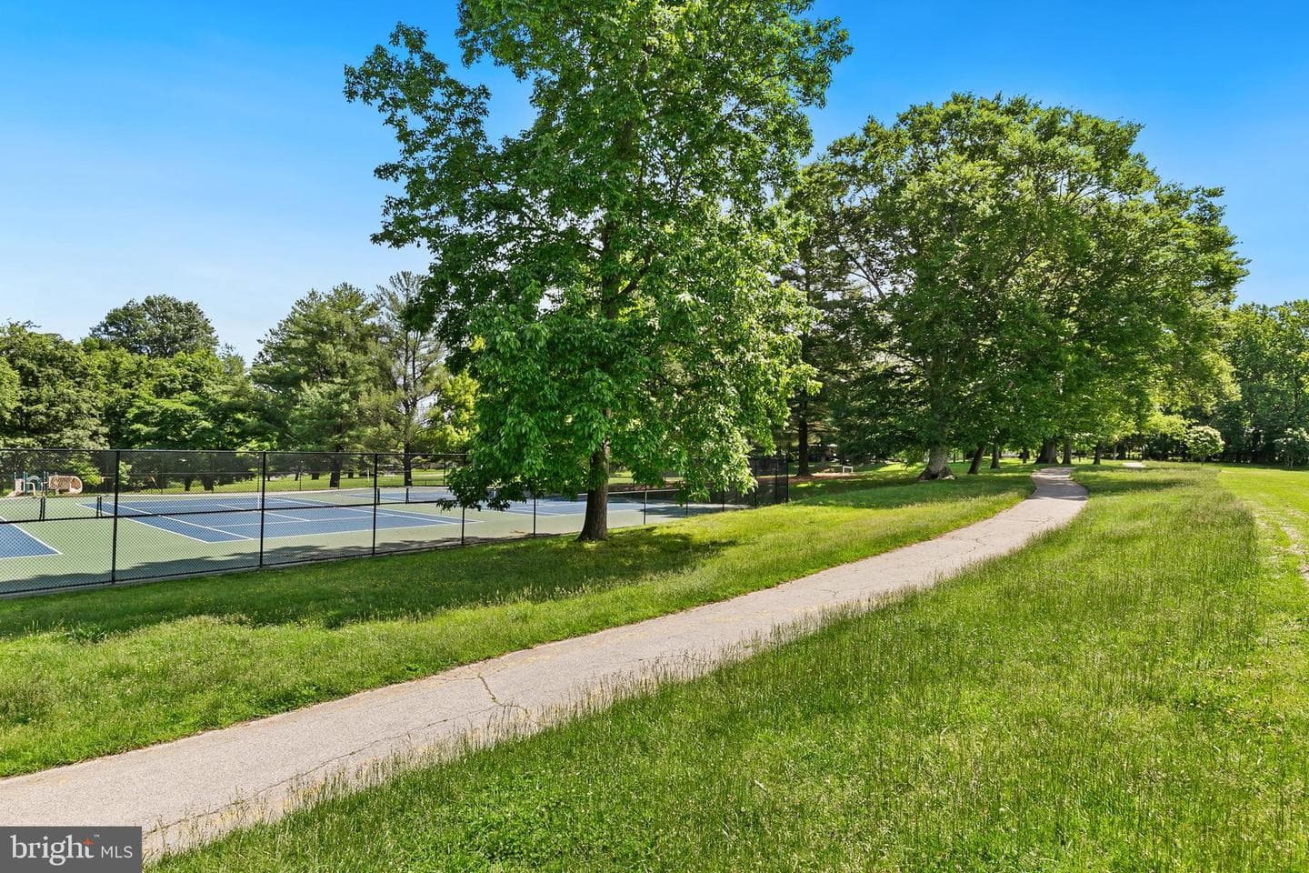 11501 Piney Lodge Road photo 53