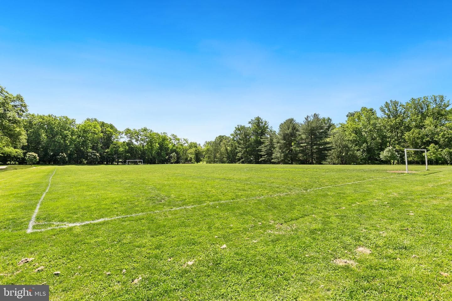 11501 Piney Lodge Road photo 55