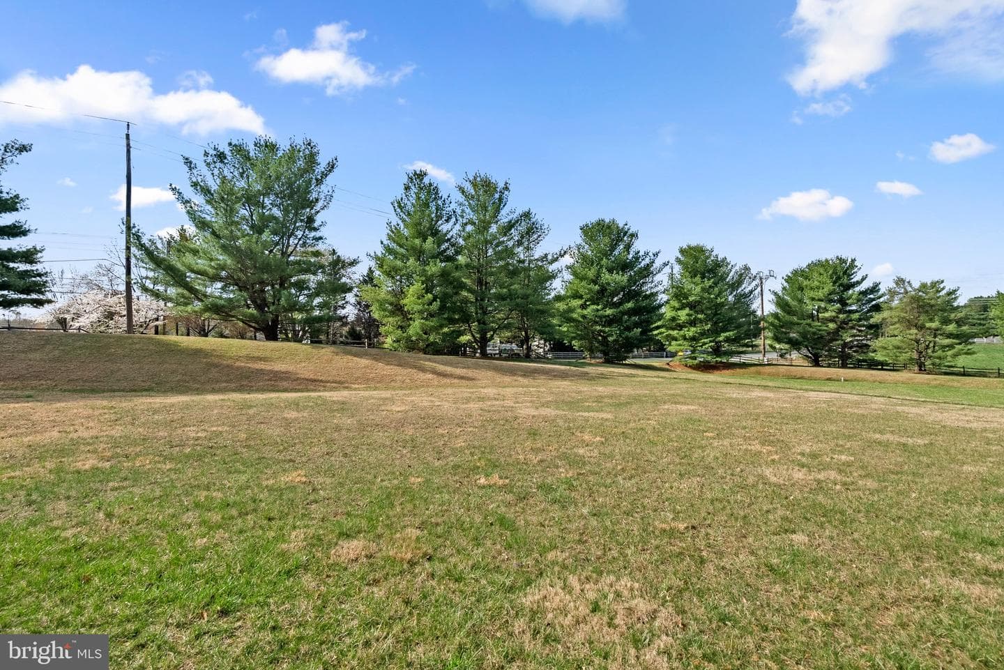 11908 Filly Lane photo 34