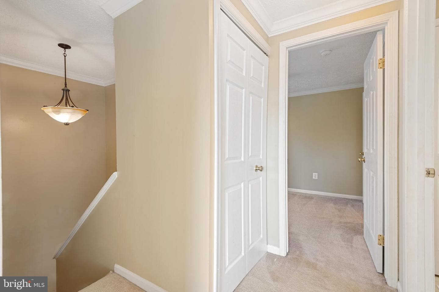 502 Palmtree Drive photo 17