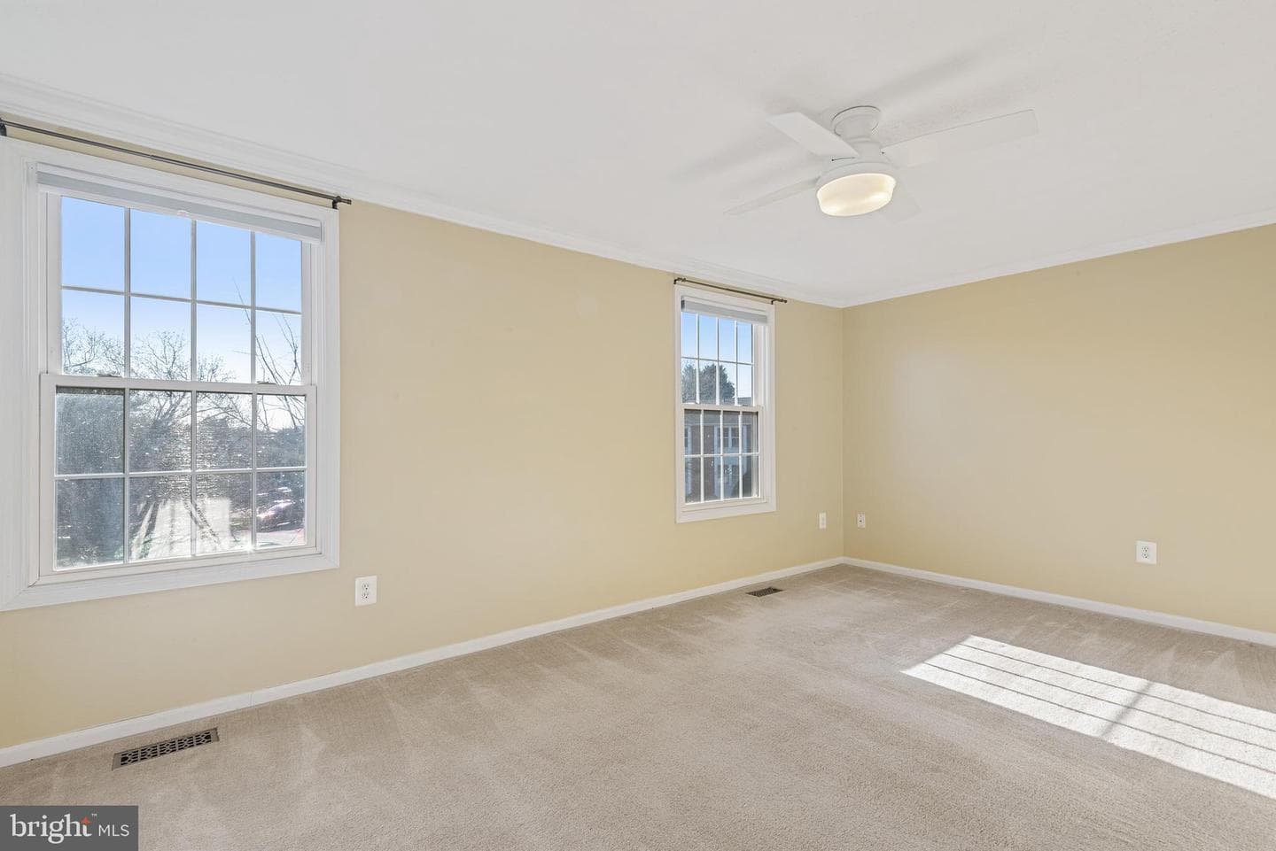 502 Palmtree Drive photo 18