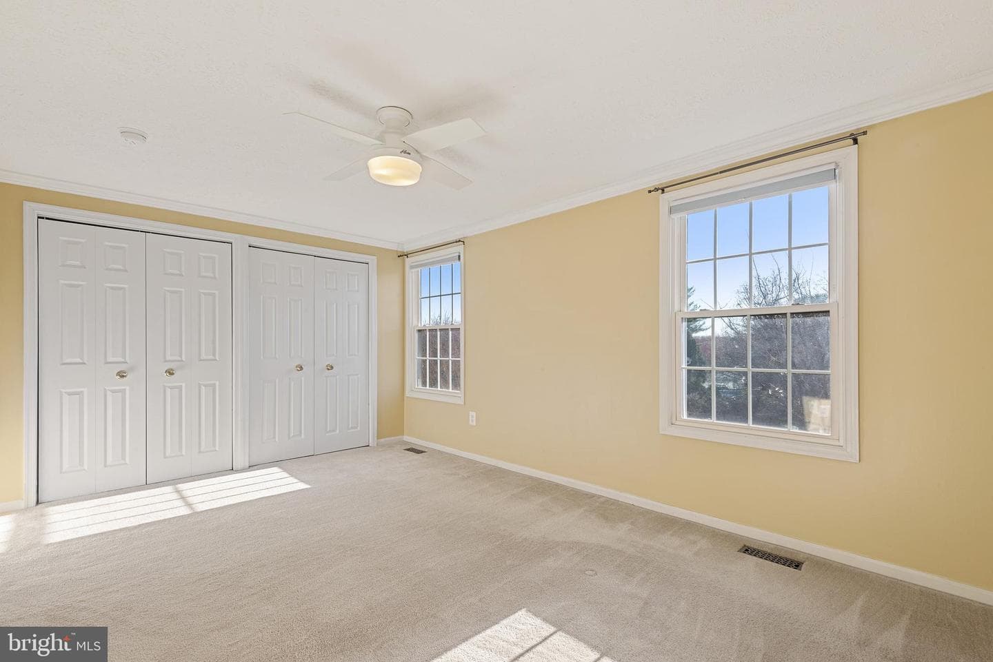 502 Palmtree Drive photo 19