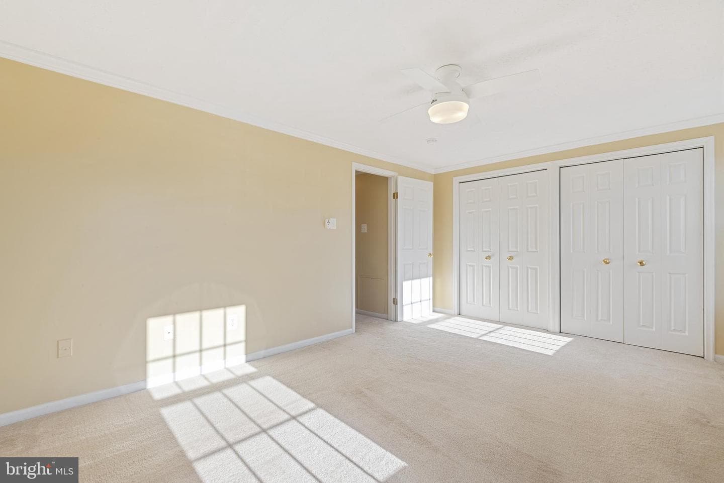 502 Palmtree Drive photo 20