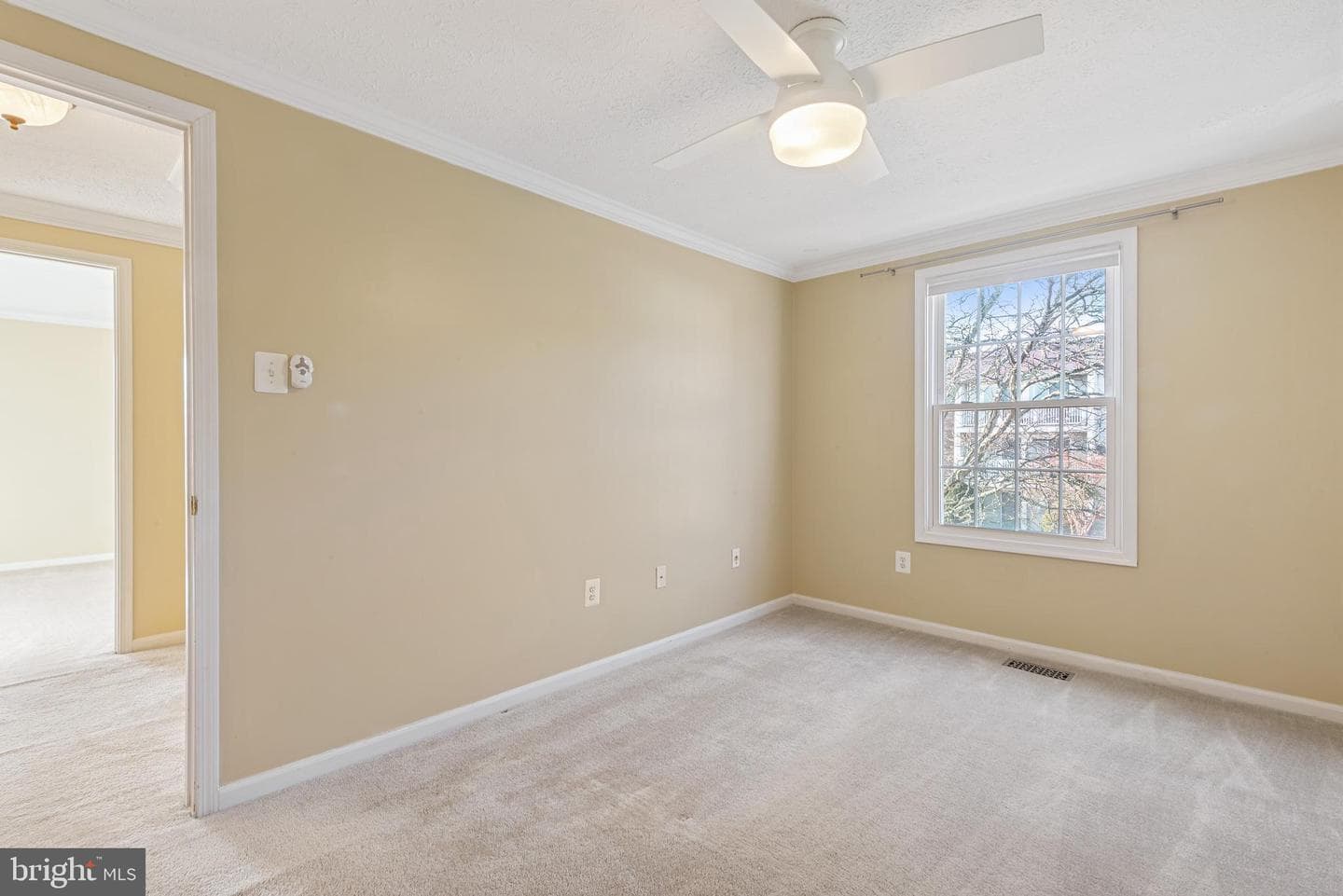 502 Palmtree Drive photo 25