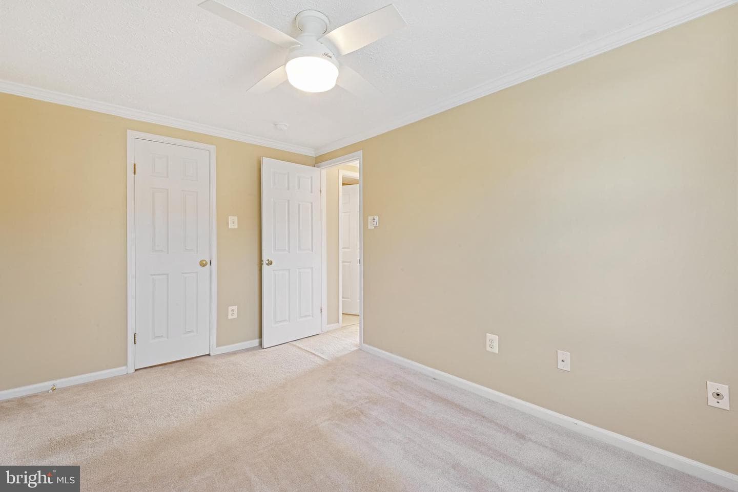 502 Palmtree Drive photo 26