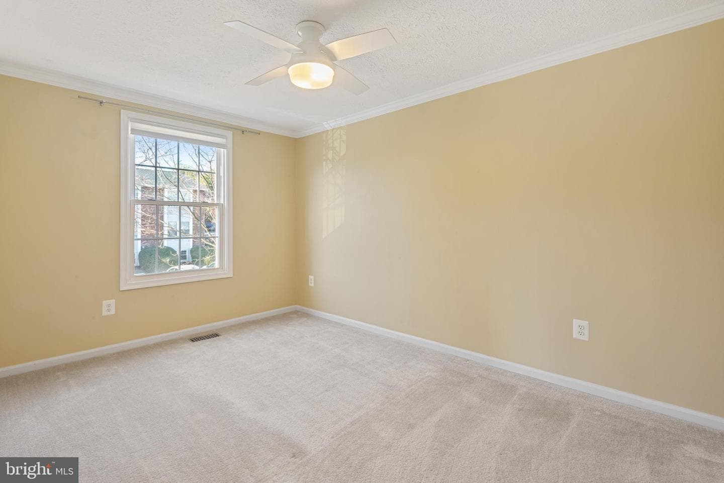 502 Palmtree Drive photo 29