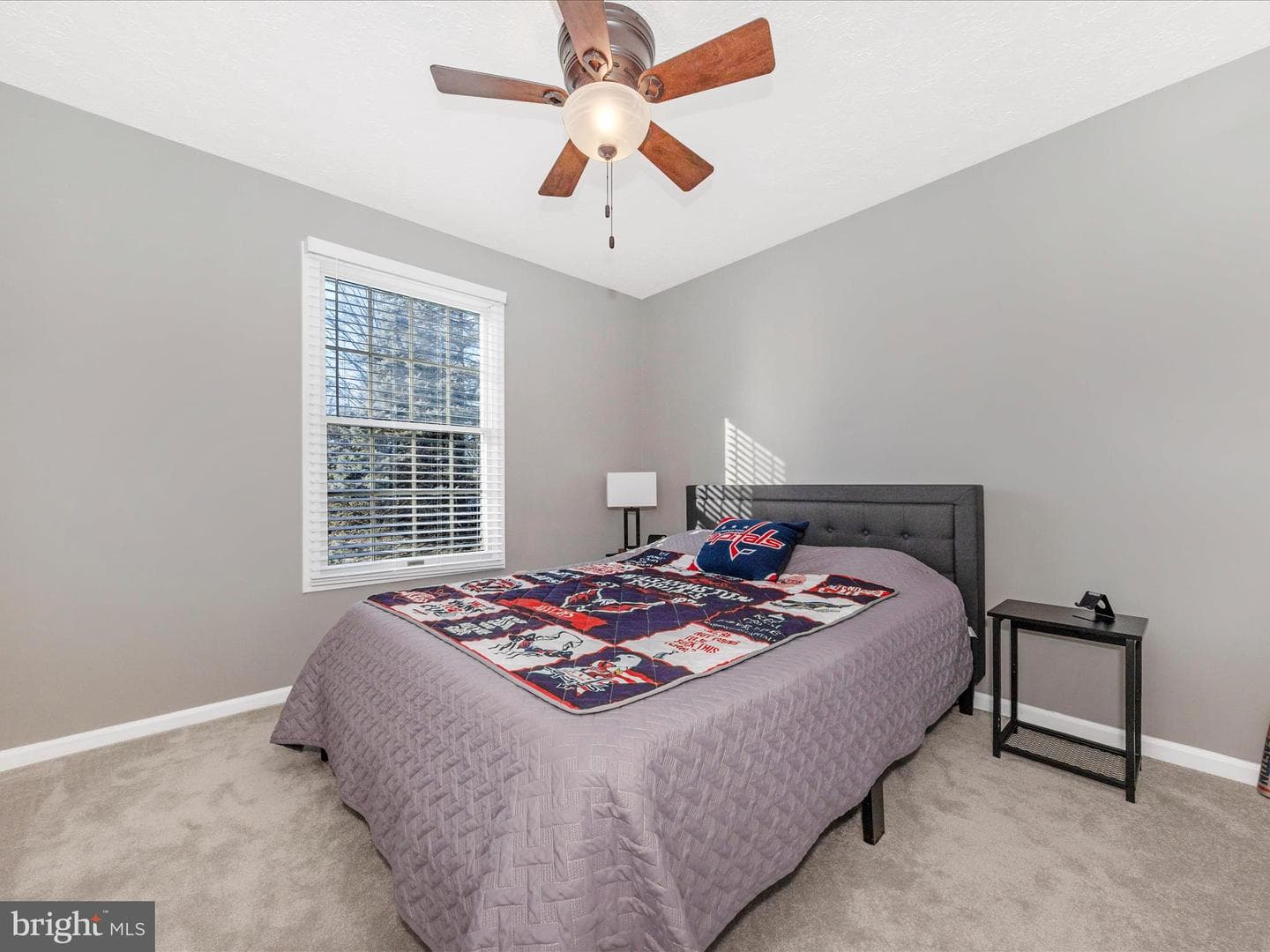 11602 Prince Albert Terrace photo 15