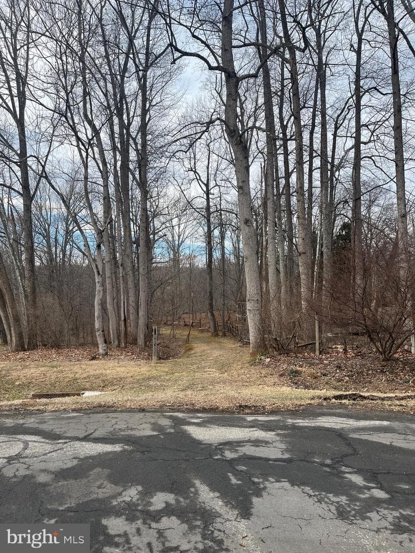13505 Bonnie Dale Drive photo 46